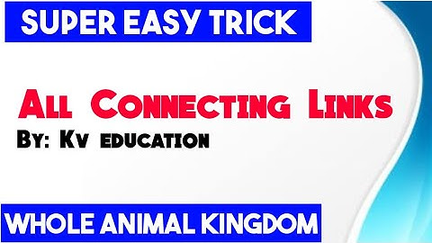 Learn All "CONNECTING LINKS" With Easiest Trick | Animal kingdom | NEET