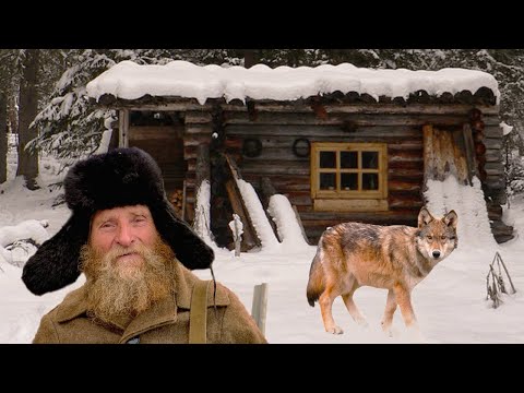 💥/ТОП историй/ Таежные