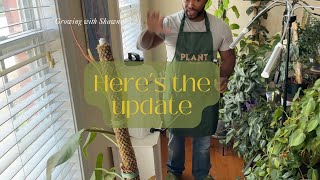 Plantroom/Life Update