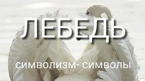 ЛЕБЕДЬ.  символизм-символы.