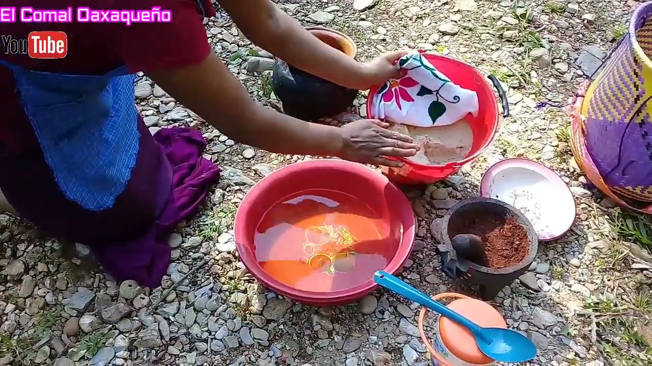 Delicioso mole de Hongo de nieve - Asi se cocina en el campo