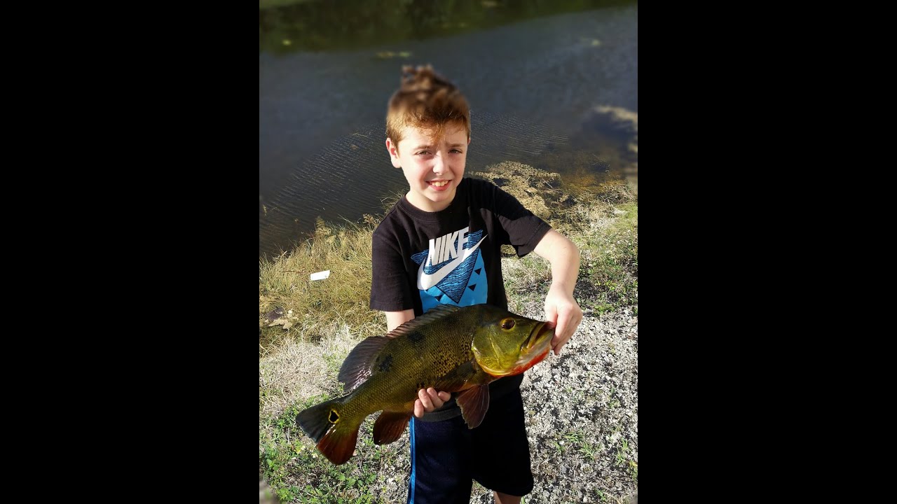 Little Kid Catches Big Fish (Peacock Bass) YouTube