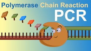 تقنية Polymerase Chain Reaction PCR screenshot 5