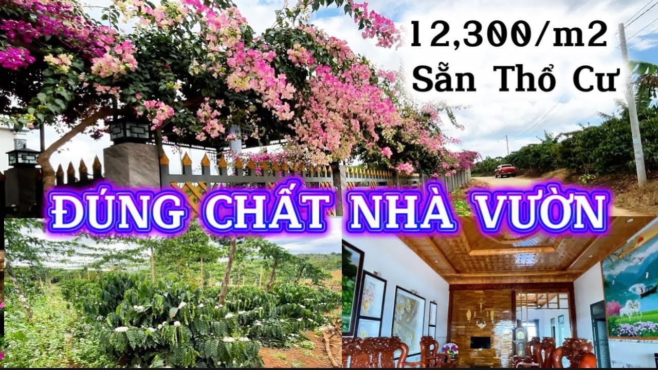 Bán Tiếc Lắm - Hơn 100M Mặt Tiền Nhà Vườn Phân Lô Lời Ngay