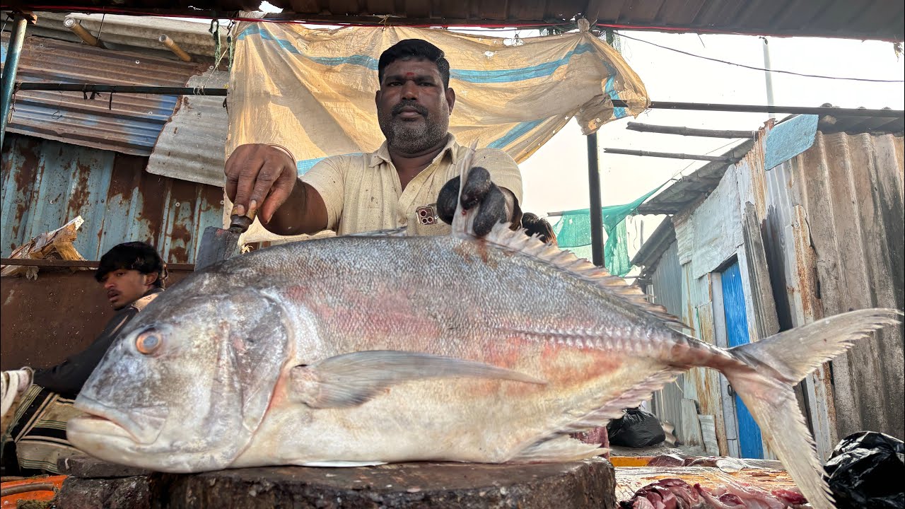 BIG THENGA PAARAI FISH CUTTING🐠🔥 VADACHENNAI MEENAVAN 