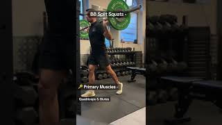 BB Split squats