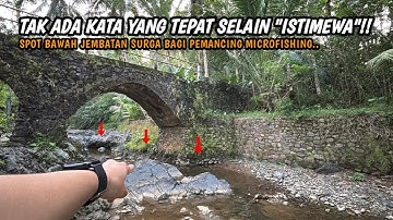 A HEAVEN FOR MICROFISHING ANGLERS!! Fishing for wader using the kumbul technique using rasbora ba...