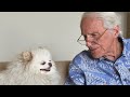 86yearold man and his dog are soulmates