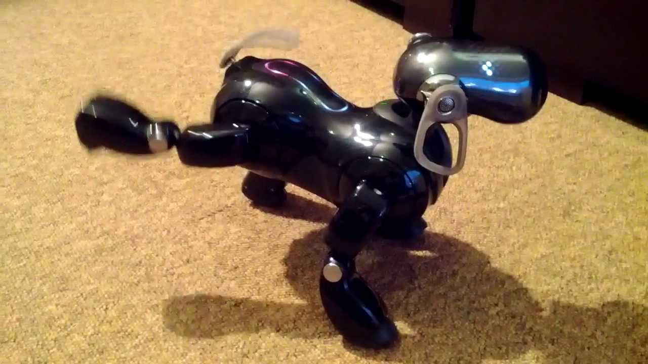 Sony AIBO ERS7 Dance - YouTube