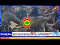 ODUU AMMEE Injifannoo WBO Harsadee Fi Bahaa Samichaa Israel Kibba Libaanos Haleele MWO MOI 