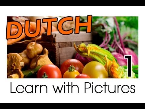Learn Dutch Vocabulary with Pictures and Audio
