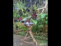 Kursi Pot Hias Unik