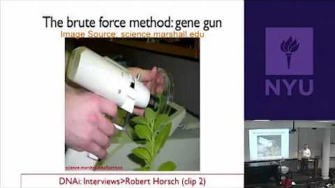 Natural Science II: Genomes and Diversity - Transgenic Plants and Animals