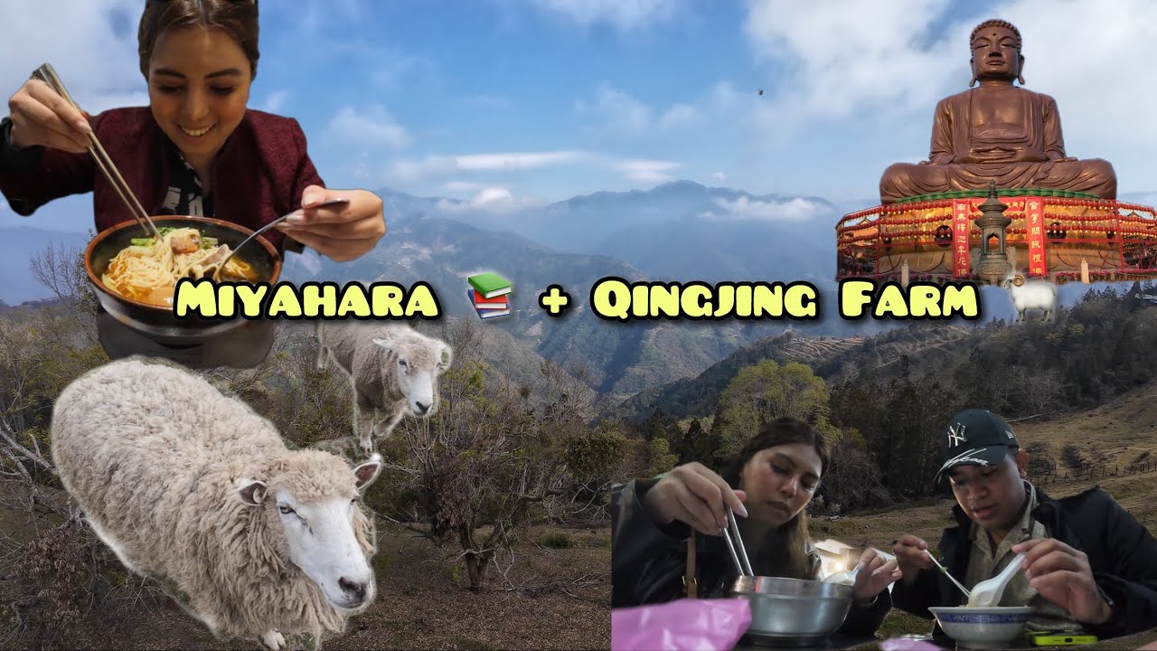 ✈️ TAICHUNG TRAVEL VLOG | Miyahara 🍨 + Qingjing Farm 🐑 | Taiwan Adventure 🇹🇼