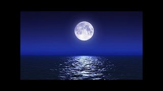 Sleep Music With Ocean and Jungle Sounds – Relaxing Blue Screen Scene – Ocean and Full Moon