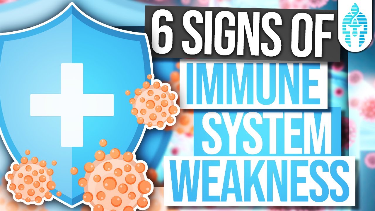 6 Signs You Have a Weakened Immune System AND #Boost Your #Immune ...