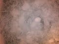 birdcam_2010-04-04_16-17-23.avi