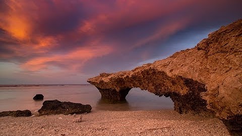 Seasonal Variability of Mixed Layer Depth in the Red Sea