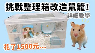 挑戰整理箱改造鼠籠花了1500元...詳細小教學 DIY