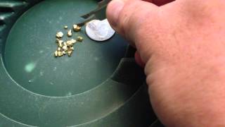 Gold Nuggets From Michigan......Here is the Proof