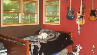 54 SLEEPY HOLLOW RD video tour