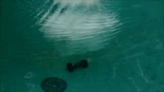 Dry Ice Bomb In Swimming Pool Carbon Dioxide