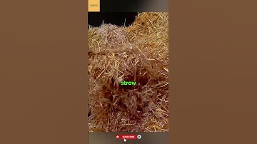 Dit slimme systeem maakt stallen automatisch schoon! 🧠🐴 #technologie