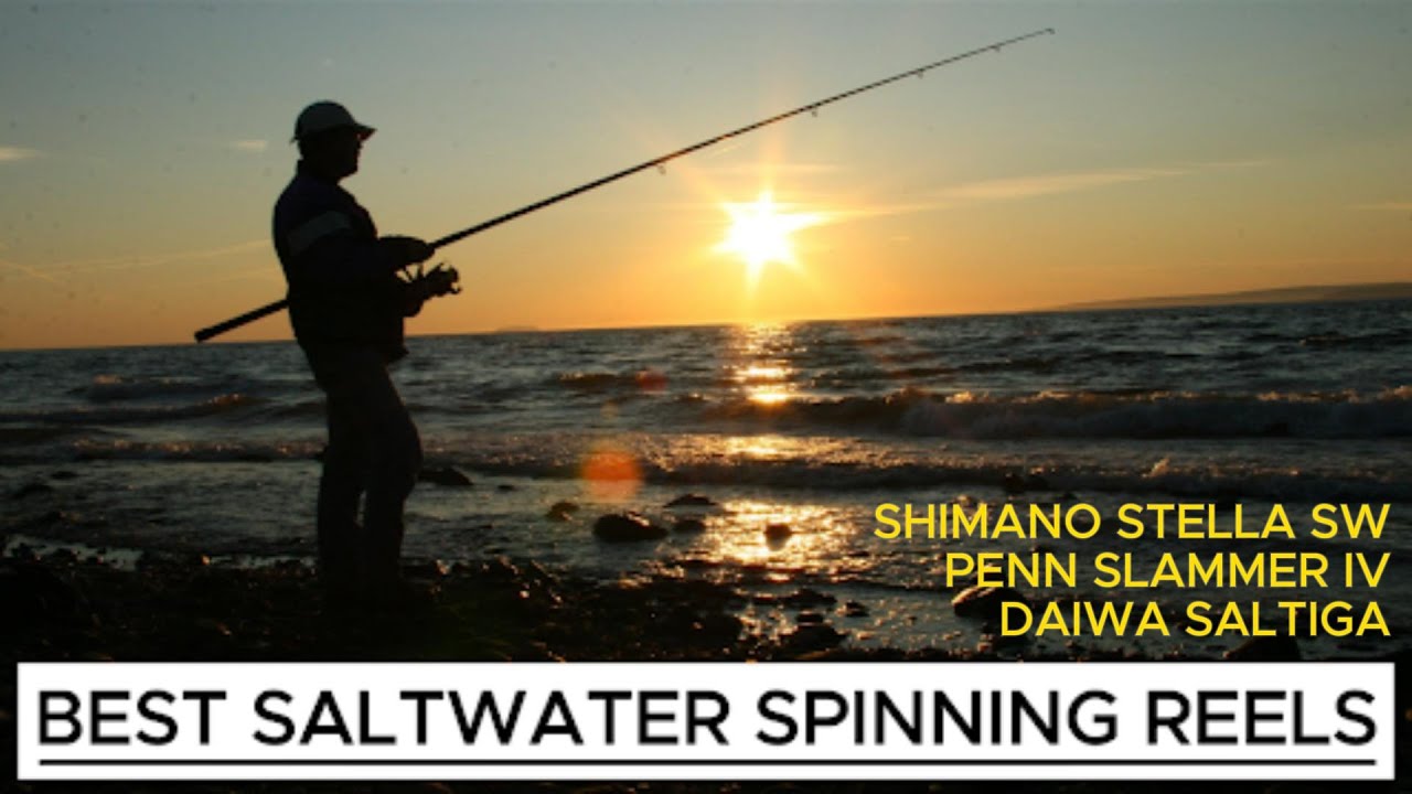 Best Saltwater Fishing Reels: Shimano Stella vs Penn Slammer IV vs Daiwa  Saltiga 