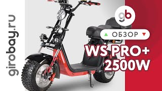 WS-PRO+ 2500W - выносливый и неприхотливый электроскутер. Бюджетная новинка 2021 от WHITE SIBERIA!