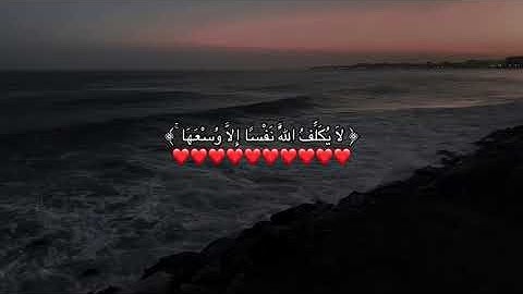 لا يكلف الله نفسًا إلا وُسعها 🤍| للشيخ ياسر الدوسري |🤍سوره البقره