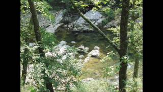 ORCC - Camping In Ouachita National Forest, Arkansas