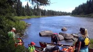Northern Forest Explorers 2016