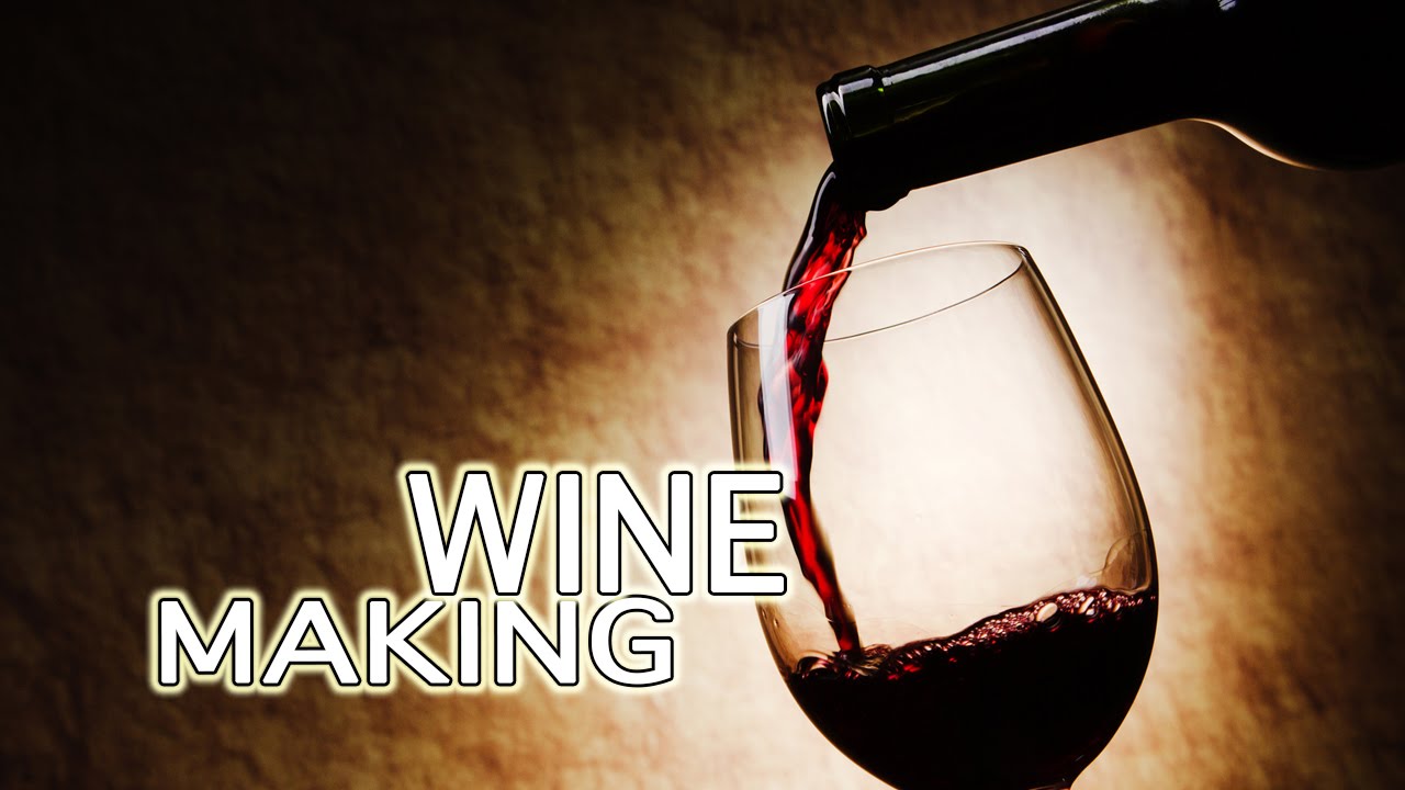 How To Make Wine The Best! YouTube