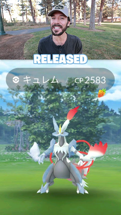 pokemongo] shiny zekrom and reshiram both on first try??? guess the  universe is making up for my never ending shiny piplup hunt in bd :  r/ShinyPokemon