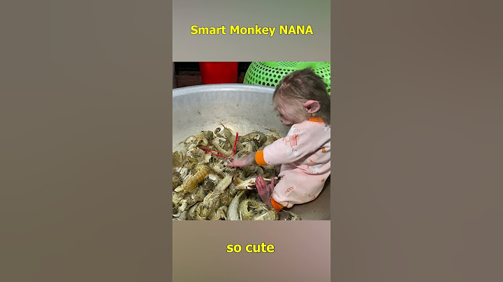 Monkey NANA bitten by crab #monkeyfamily #monkey #smartmonkey #monkeyvideo #shorts #monkeybaby
