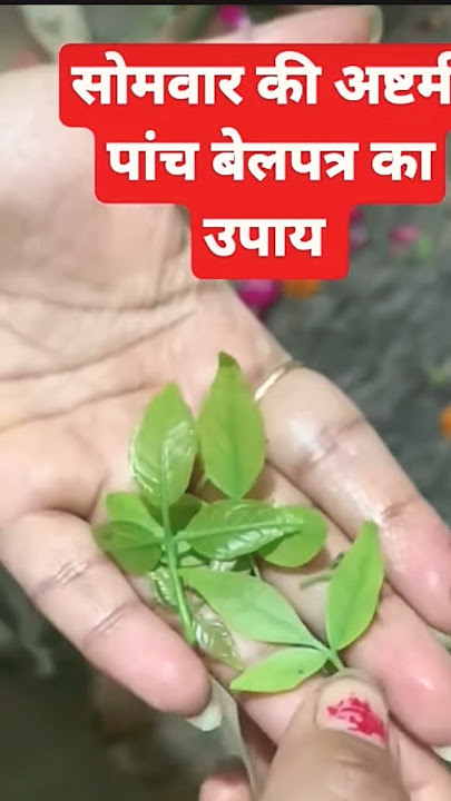 सोमवार की अष्टमी का उपाय #panditpradeepmishraji #panditpradeepmishrakeupay #shorts #reels #ytshorts