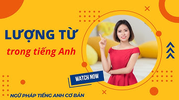 Lượng từ trong tiếng Anh: Vị trí, phân loại, cách dùng | Ngữ Pháp Tiếng Anh Cơ Bản