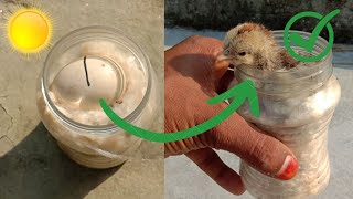 How to hatch eggs at home without incubator - incubator plastic box help sunlight100% result  part 2