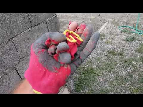 2020 წელი მართლმადიდებლობა ქრისტეანობა და ქართველობა დივანში ჯდომით ვერ მოიპოვება...