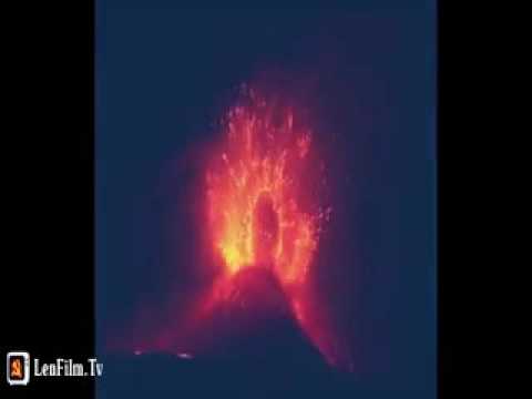 Кадры из фильма Зоология