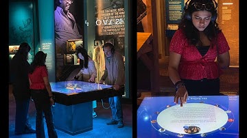 Exhibition and Experience Design MFA Program at FIT