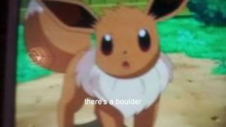 Eevee Sad Story You Will Cry