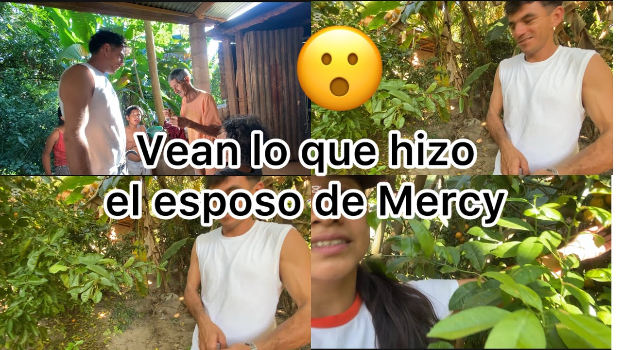 🟢Se está perdiendo la cosecha de limones y el abuelito nos dijo que hiciéramos esto !😳😱