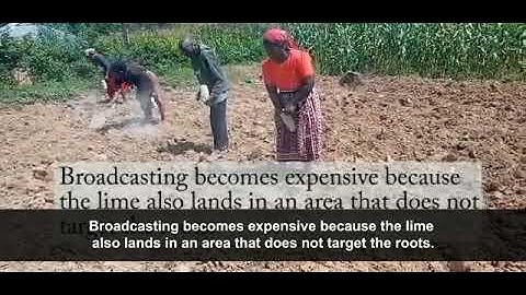 Soil sampling and acidity test - Amos Kago & Raymond Jumah & Martin Odhiambo, Kenya