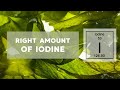 Iodine: What is the Right Amount?