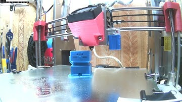 Calibration cat timelapse