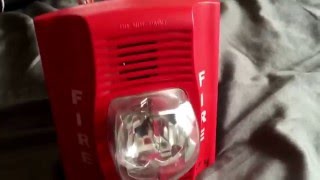 Mini System Test 2