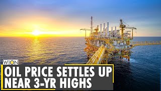 Brent Crude settles at $75.56 a barrel | Business and Economy | Oil price | Latest English News