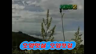 KBS2 가상ID(1995.11)