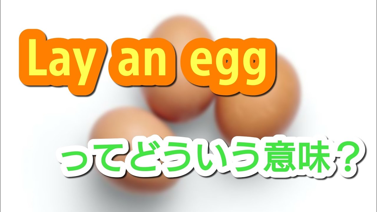 言い回し Lay An Eggってどういう意味 卵を産む以外の意味もある Youtube 言い回し Lay An Eggってどういう意味 卵を産む以外の意味もある Youtube